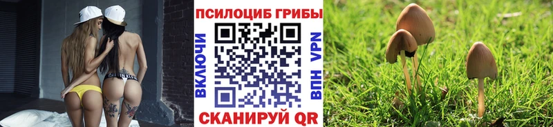 omg ссылки  Слюдянка  это как зайти  сколько стоит  Псилоцибиновые грибы Magic Shrooms 